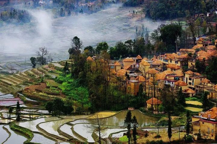 怒江土特产推荐--贡山草果