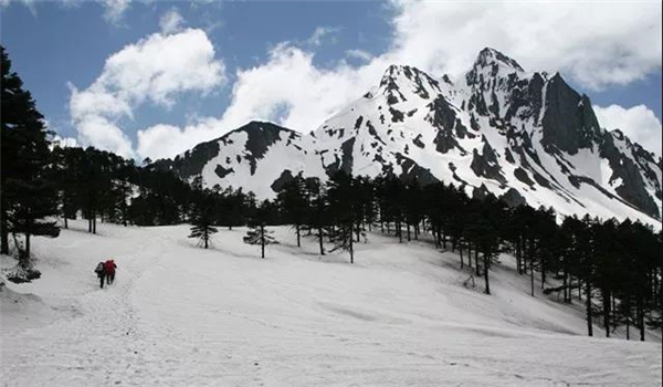 碧罗雪山