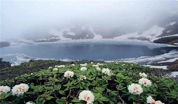 碧罗雪山